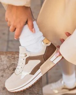 Discount Casual Mode Basket femme à lacets - Dulce Beige