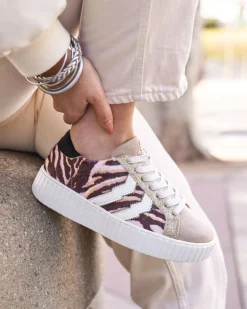 Outlet Casual Mode Basket femme à lacets - CL67 TIGER Camel