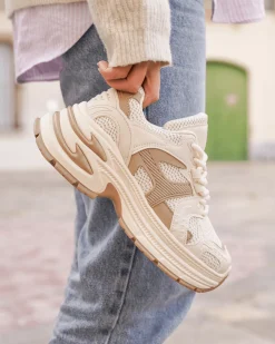 Hot Casual Mode Basket femme compensée à lacets - Arya Taupe
